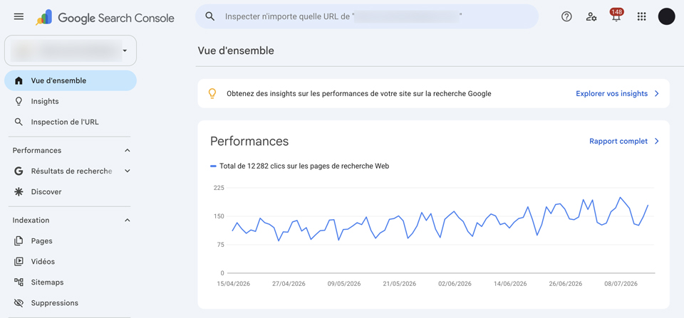 Exemple de vue de la Search Console de Google