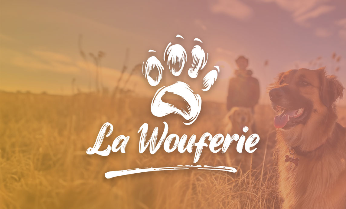 Site web et identité visuelle pour éducateur canin