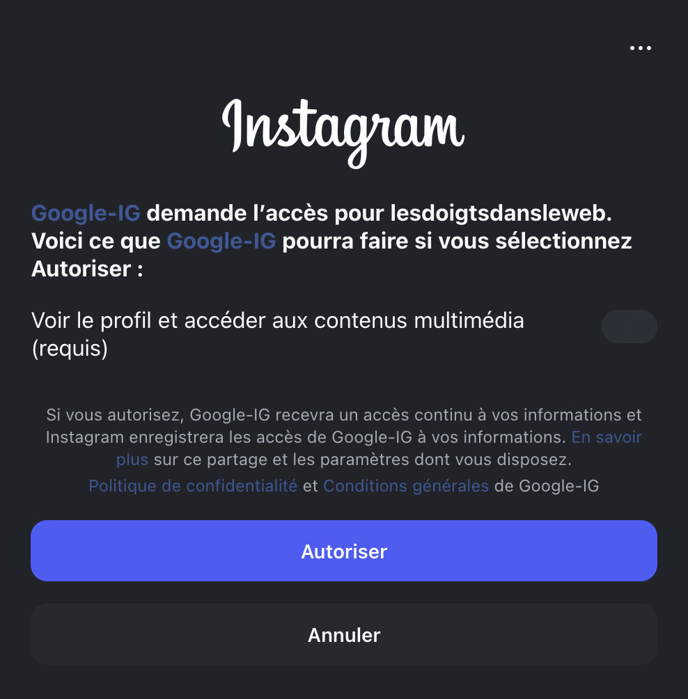 Validation des droits d'accès de Google à Instagram